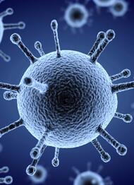 Неотложные меры по предупреждению распространения коронавирусной инфекции (COVID-19)